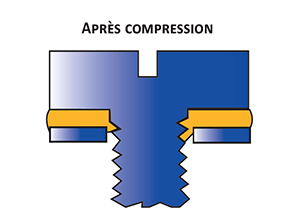 Nyltite-apres-compression-2019-1-