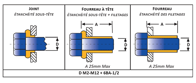 Plan-joint-nyltite-prelok-2019